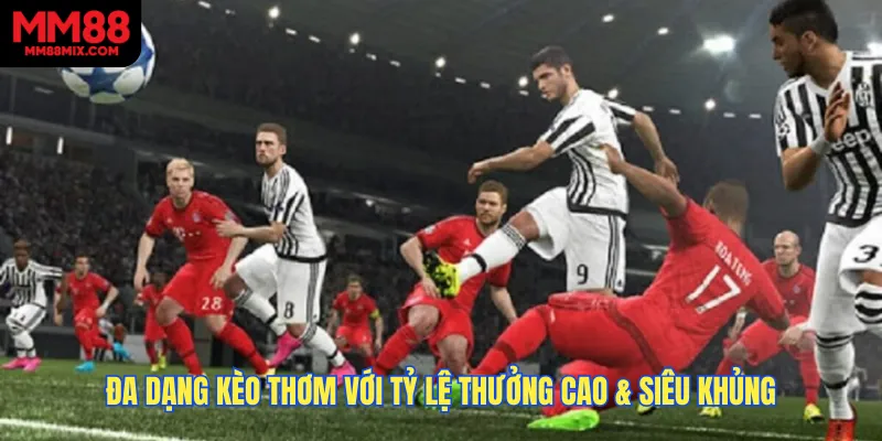 Đa dạng kèo thơm với tỷ lệ thưởng cao & siêu khủng