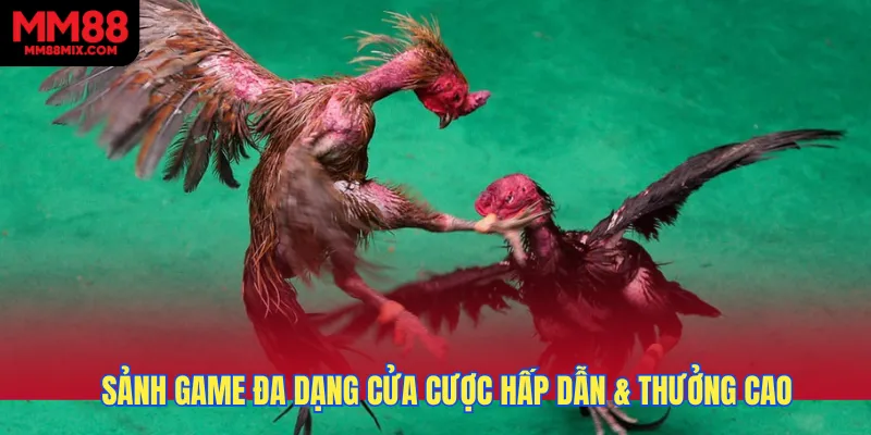 Sảnh game đa dạng cửa cược hấp dẫn & thưởng cao