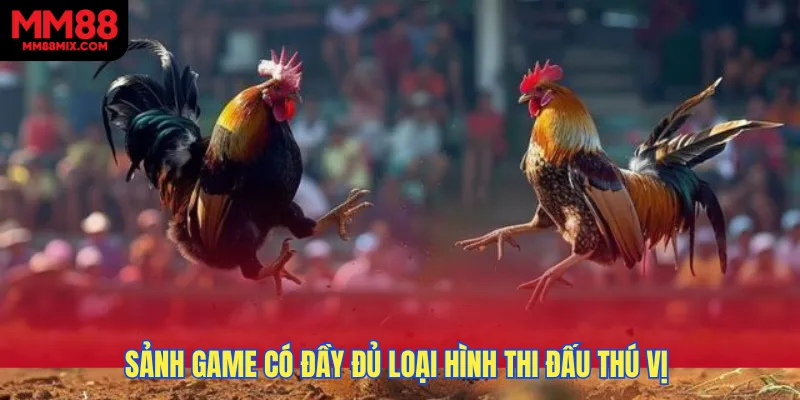 Sảnh game có đa dạng loại hình thi đấu thú vị để các bạn lựa chọn