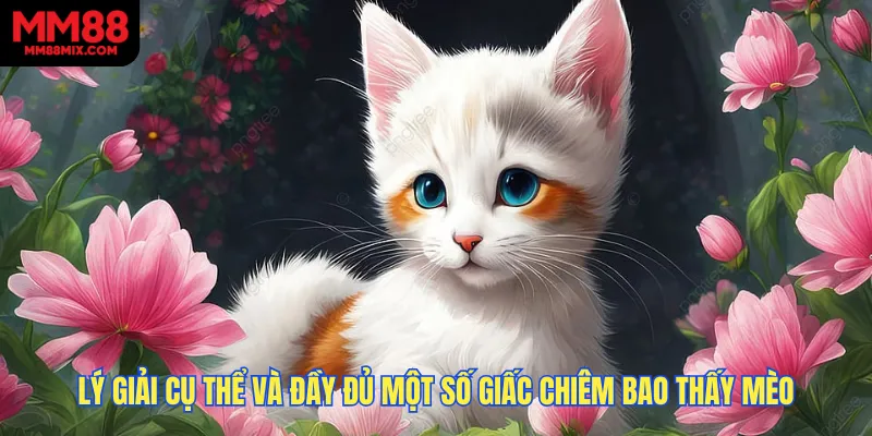 Lý giải cụ thể và đầy đủ một số giấc chiêm bao thấy mèo