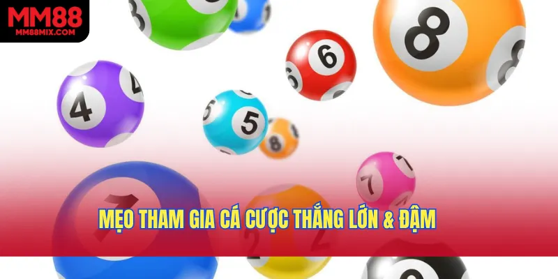 Mẹo tham gia cá cược thắng lớn & đậm